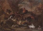 Still life of fowl in a farmyard,with a cat stealing a bantam chick unknow artist